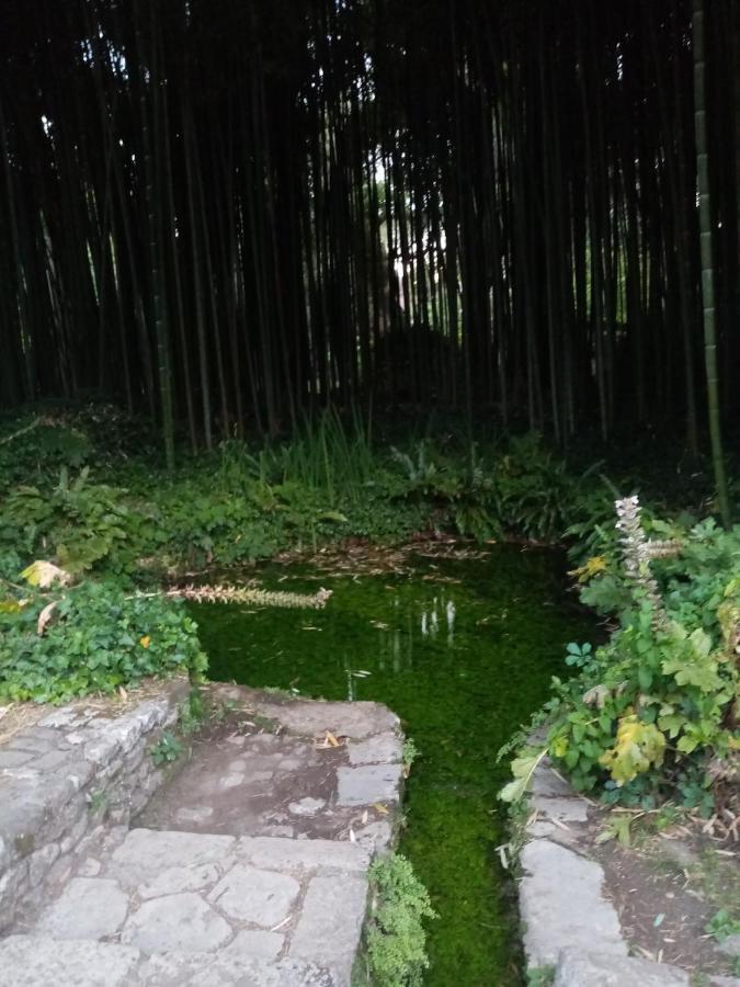 La Bella Ninfa Bed & Breakfast Sermoneta Luaran gambar