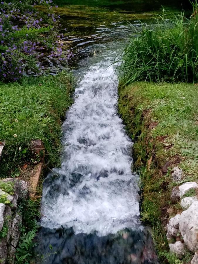 La Bella Ninfa Bed & Breakfast Sermoneta Luaran gambar